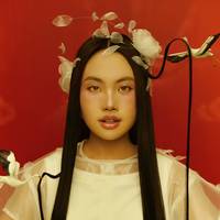 TikTok Account Photo
