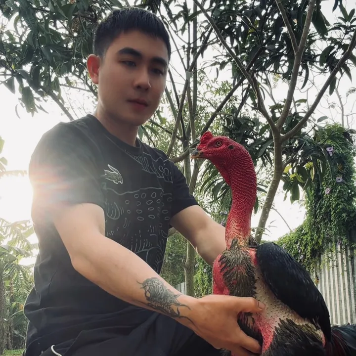 quockhanh626666
