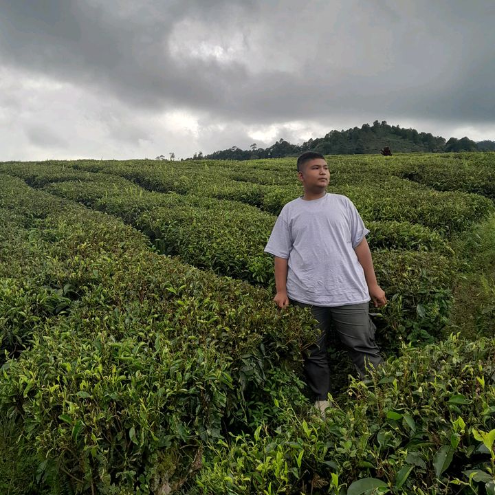 zaksumatera