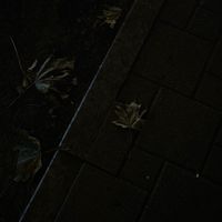 TikTok Account Photo