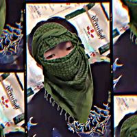 apirak.eiei