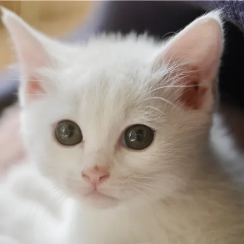 user79679048282548