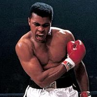 kingboxing030
