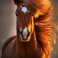 original sound - k___.kill