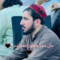 manzoorpashteen331