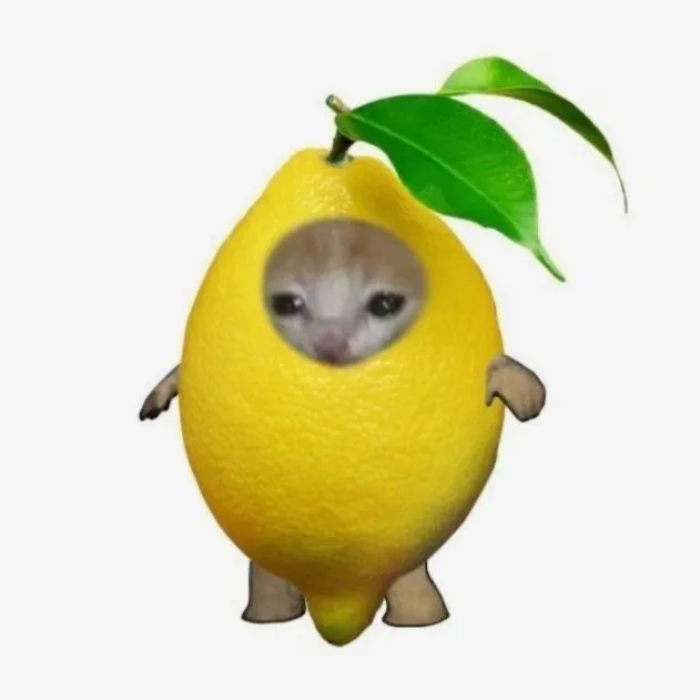 kendineinflunsir