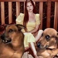 TikTok Account - https://p16-sg.tiktokcdn.com/tos-alisg-avt-0068/bd20ce48953dfa548bf6729540c496df~tplv-tiktokx-cropcenter:200:200.jpeg
