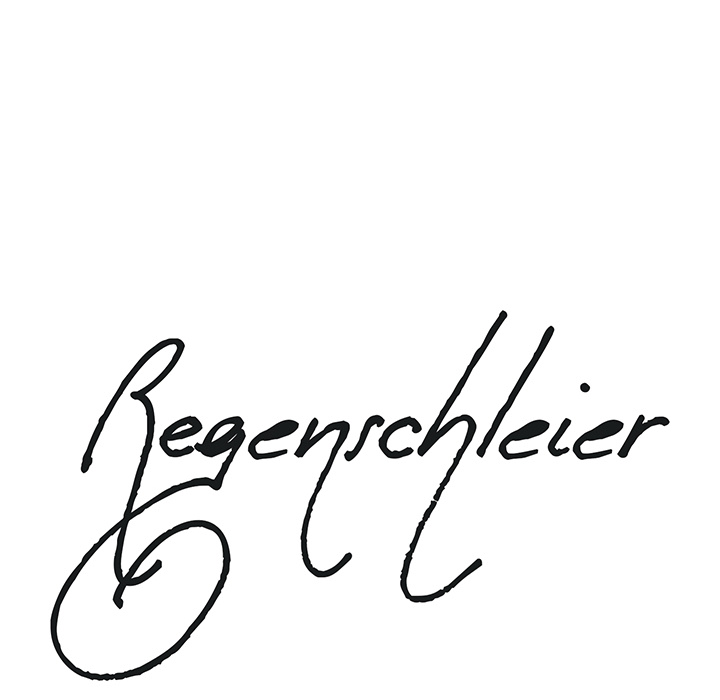 Regenschleier - episode 25 - 9