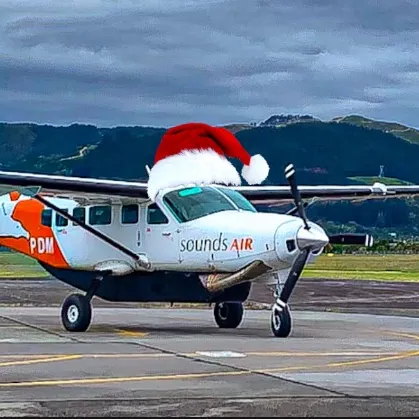 nz_plane.spotting