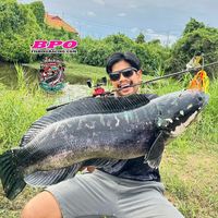 เสียงต้นฉบับ - น้าโต้พัทลุง🧔🏻