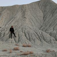 TikTok Account Photo