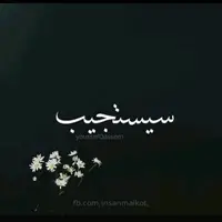fatenahumomar2