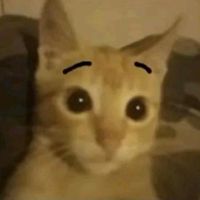 TikTok Account - https://p16-sg.tiktokcdn.com/tos-alisg-avt-0068/c0738bfdb6b3e159f755097a49e5b94b~tplv-tiktokx-cropcenter:200:200.jpeg