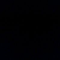 TikTok Account - https://p16-sg.tiktokcdn.com/tos-alisg-avt-0068/c0cac5cde9c7c74da762a3e566e5619b~tplv-tiktokx-cropcenter:200:200.jpeg