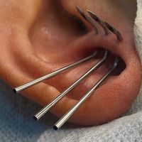 1piercingworld_