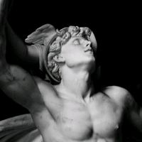 original sound - Cohlefx