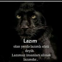 TikTok Account - https://p16-sg.tiktokcdn.com/tos-alisg-avt-0068/c191263ac6b7715ac6b2b0c3f787f2a9~tplv-tiktokx-cropcenter:200:200.jpeg