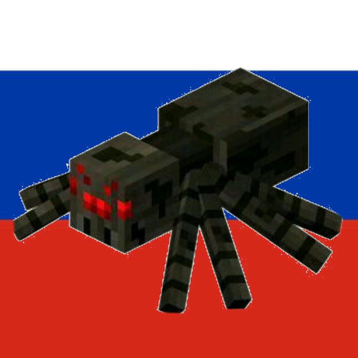 pauchok347