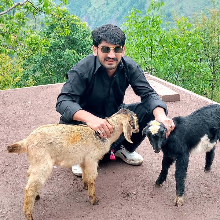 ajaz.mughal.ajaz8