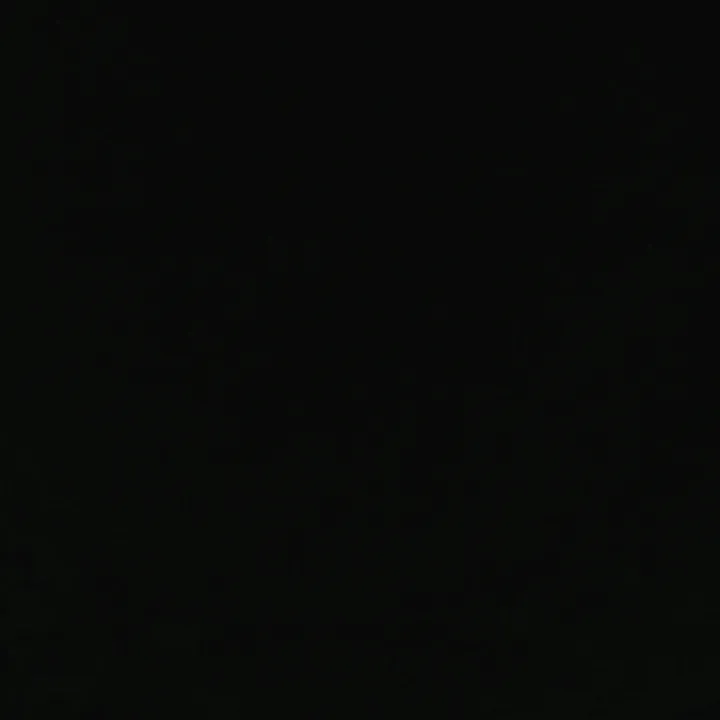 user74284401129731