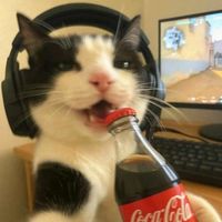 original sound - BUTTERFLY WHISPERS