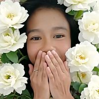 original sound - dezniiimeldatanjung