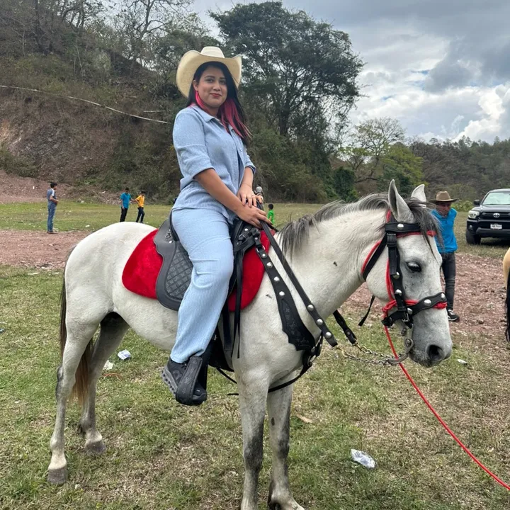 vicenarita