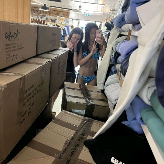 _._mariav2