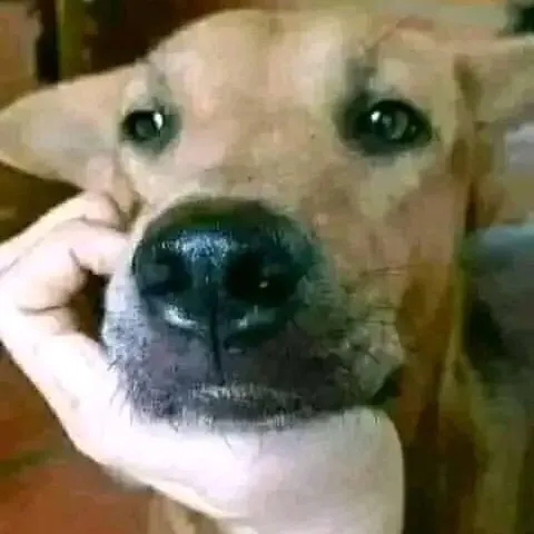 corona10000000000