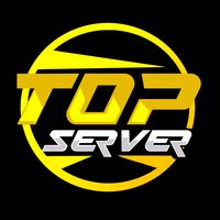 ally_top1