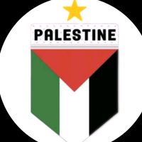 3333palestine3