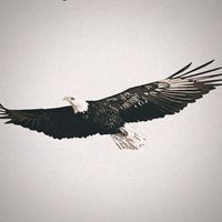 TikTok Account - https://p16-sg.tiktokcdn.com/tos-alisg-avt-0068/c6d98b75dc918633ef1c6ee10631b07f~tplv-tiktokx-cropcenter:200:200.jpeg