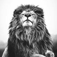 TikTok Account - https://p16-sg.tiktokcdn.com/tos-alisg-avt-0068/c6dfb1328ac775f41e5c86e0fc051327~tplv-tiktokx-cropcenter:200:200.jpeg