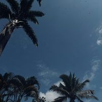 TikTok Account - https://p16-sg.tiktokcdn.com/tos-alisg-avt-0068/c785f9084b0c60bbc215a2476b5a4aff~tplv-tiktokx-cropcenter:200:200.jpeg