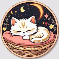 TikTok Account Photo