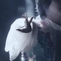 aoringojam0816