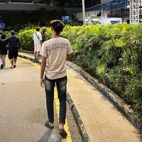 mycamell1