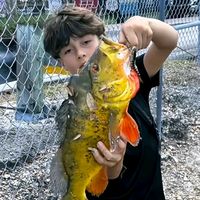 TikTok Account - https://p16-sg.tiktokcdn.com/tos-alisg-avt-0068/cb15d7ee462fbaab6f253efe6e3d7bde~tplv-tiktokx-cropcenter:200:200.jpeg