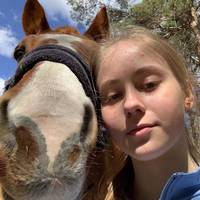 TikTok Account Photo