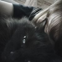 TikTok Account - https://p16-sg.tiktokcdn.com/tos-alisg-avt-0068/cd37f094b360dfecd81619e8b34778f4~tplv-tiktokx-cropcenter:200:200.jpeg