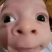 fede_vigevani889