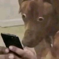 original sound - .heinggg