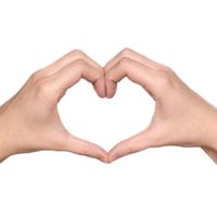 TikTok Account - https://p16-sg.tiktokcdn.com/tos-alisg-avt-0068/cdea592374af11781c0a85d9870cf629~tplv-tiktokx-cropcenter:200:200.jpeg