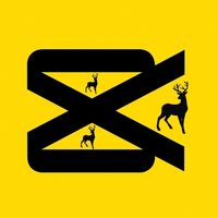 original sound - wazer.music