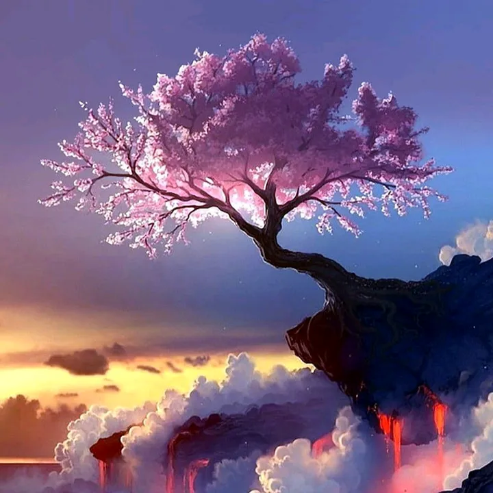 life.of_a.dreamer