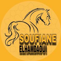 lmzabiofficiel