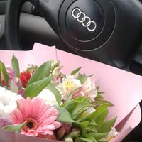 TikTok Account - https://p16-sg.tiktokcdn.com/tos-alisg-avt-0068/d0b751d7d4bc6146aab6fd4a0782d0e8~tplv-tiktokx-cropcenter:200:200.jpeg