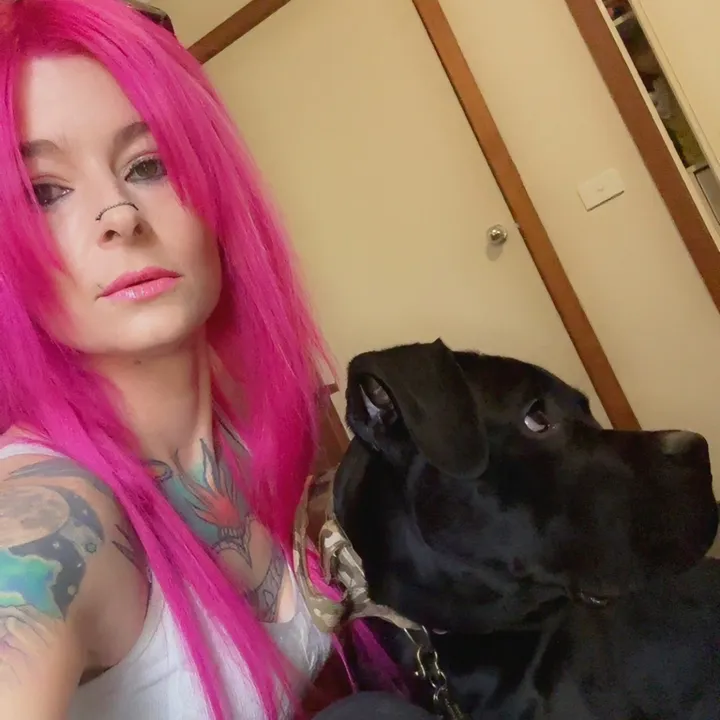 tamsdogpack666