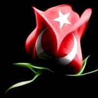 TikTok Account - https://p16-sg.tiktokcdn.com/tos-alisg-avt-0068/d0f3f177f0cda5c2ebcea4eba2a2f226~tplv-tiktokx-cropcenter:200:200.jpeg