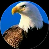 TikTok Account - https://p16-sg.tiktokcdn.com/tos-alisg-avt-0068/d1d6cf1e3217589080abe3a9c6f316b3~tplv-tiktokx-cropcenter:200:200.jpeg